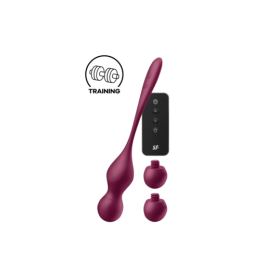 Boules de geisha vibrantes Satisfyer Love Birds Vary 